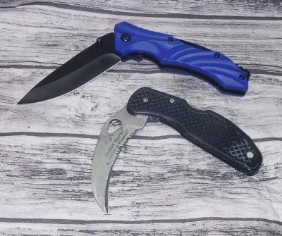 Lot of 2 Knives