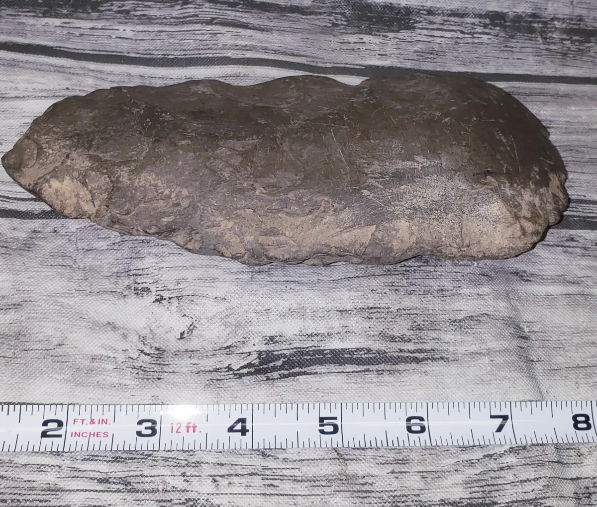 Auction Image 2