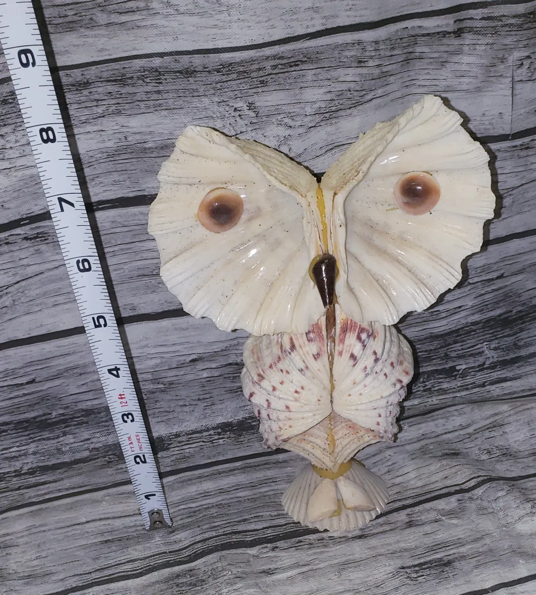 Shell Owl Decor